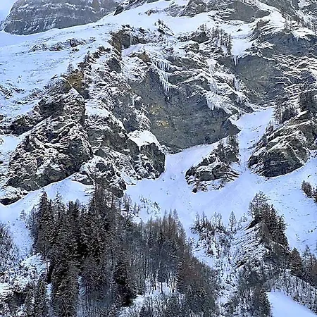 Lägenhetshotell Matterhof 3*